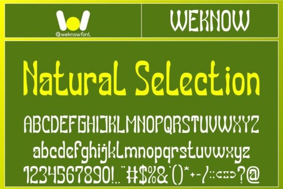 Natural Selection: Where Gothic Heritage Meets Modern Design